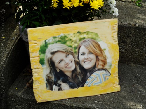 Custom Portrait: Cheryl's Daughters by AmandaFormaro.com